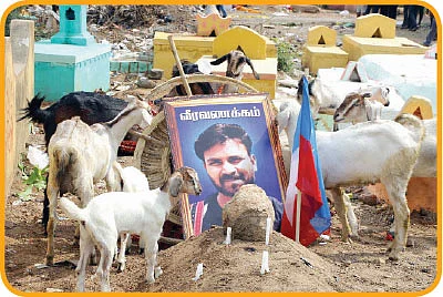 யாரால் இந்தத் துயரம்?
