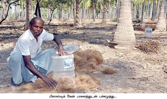 வறண்ட கிணறுகள்... வாடாத தென்னைகள்...