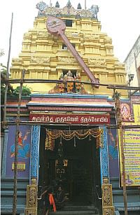 சிந்தை நிறை சிந்தை முருகன்!