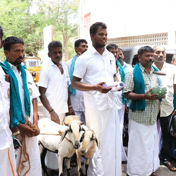 மாவட்ட ஆட்சியரிடம் ஆடுகளுடன் மனு கொடுக்க வந்த ஆடு வளர்ப்போர் சங்கத்தினர்!