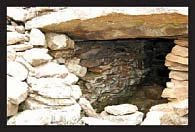 தமிழர் கூடு