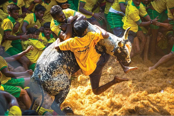 சாதிக்க, செவலை ரெடி!