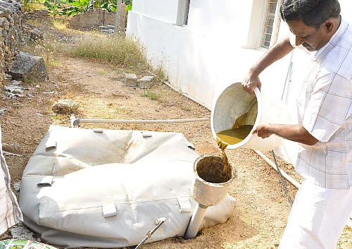 நீங்கள் கேட்டவை: மர வேலைக்கு மட்டுமல்ல, மருந்துக்கும் உதவும் மகோகனி!