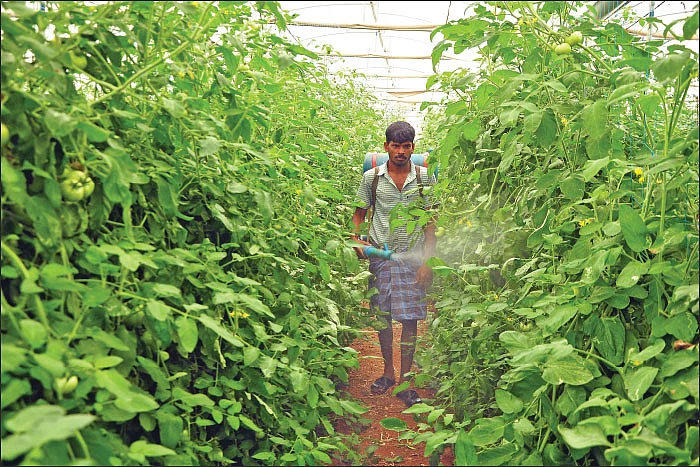 சின்னச் சின்ன நுண்ணுயிரிகள் பெரிய பெரிய லாபம்! உதவிக்கு வரும் உயிரியல் - 16