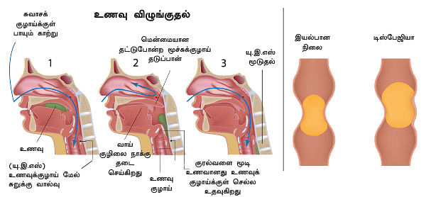இனி எல்லாம் சுகமே - 6