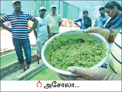 ஒரு நாள் விவசாயி! பருவம் 2 - பண்ணையை நோக்கி பயனுள்ள பயணம்