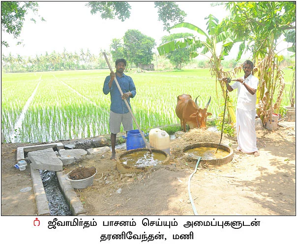 விளைச்சலை அள்ளிக் கொடுக்கும் ஜீவாமிர்தம்... பாசன முறையில் புதுமை!