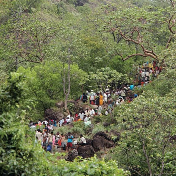 நாரதர் உலா - சதுரகிரிக்கு வந்த சோதனை...