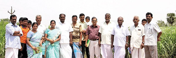 புள்ளவராயன் குடிகாடு திரும்பிய திசை எல்லாம் பட்டதாரிகள்!