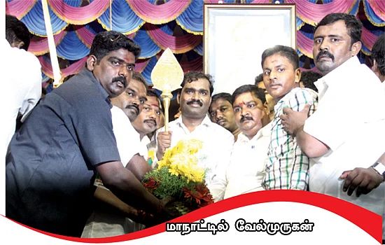 வன்னிக் காடு... சந்தனக் காடு... முந்திரிக் காடு!