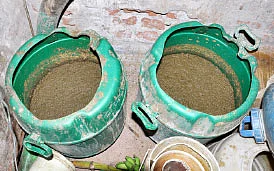 அதிக வருமானம் தரும் அடர்நடவு... சூறாவளி பாதிப்புக்கு சுலப தீர்வு...