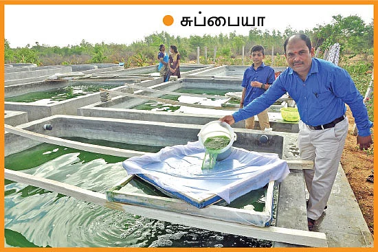 பணம் குவிக்கும் பண்ணைத்தொழில்கள் - 6 - தொட்டியில் வளரும் பணம்... ஸ்பைருலினா!