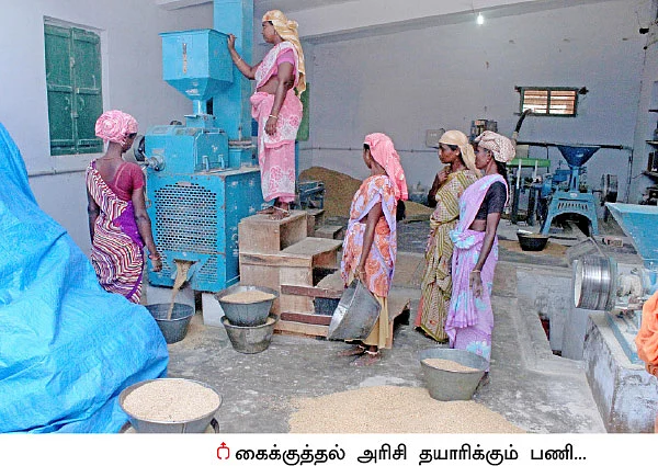 நெல், வாழை, தென்னை, கால்நடை... தபோவனத்தில் தழைக்கும் விவசாயம்!