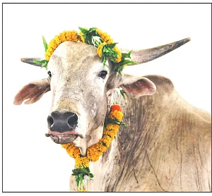 கழுகார் பதில்கள்!