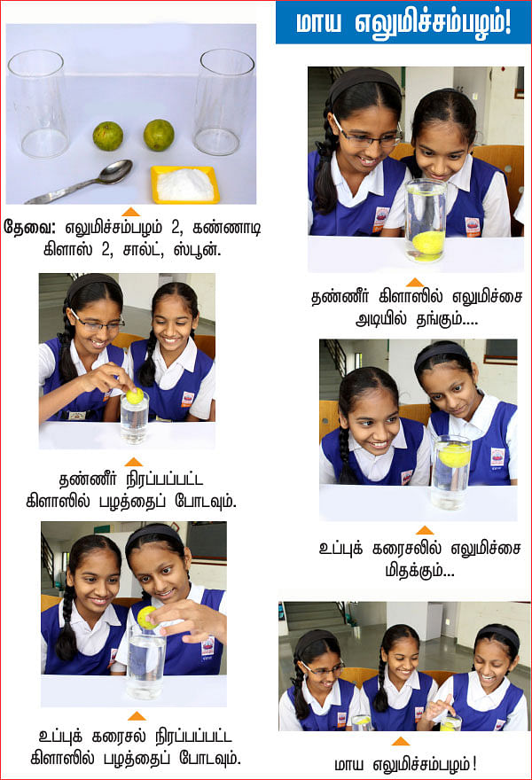 அறிவியல் பழகலாம் வாங்க!
