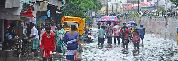 தொடரும் மழை வெள்ளம்! மிதக்கும் வீடுகள்... ஆரோக்கியம் காப்பது எப்படி?