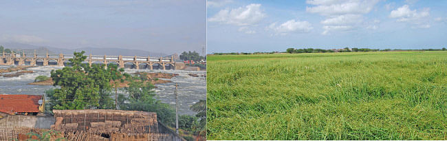 பலன் கொடுக்குமா... குறுவைத் தொகுப்புத் திட்டம்?