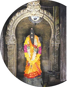 'மல்லிகையாக மாறிய அஸ்தி!'
