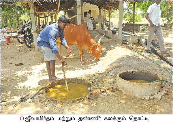 விளைச்சலை அள்ளிக் கொடுக்கும் ஜீவாமிர்தம்... பாசன முறையில் புதுமை!