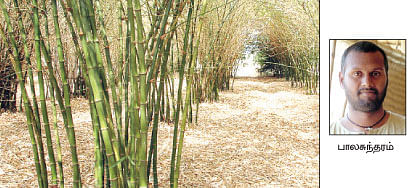 நீங்கள் கேட்டவை
