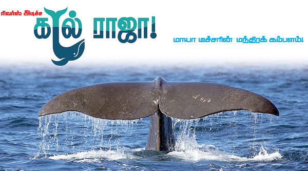 மாயா டீச்சரின் மந்திரக் கம்பளம்!