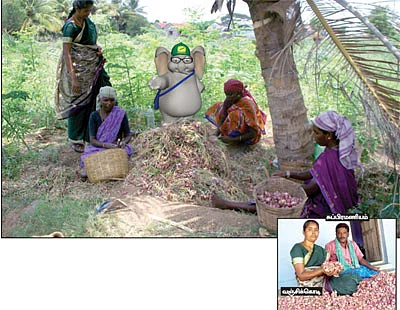 வயல் to வண்டிக்கடை !