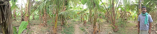 11 ஏக்கர்... ஆண்டுக்கு ரூ 11 லட்சம்!