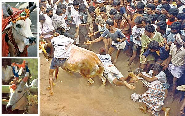 தை பிறந்தால்...வழி பிறக்கும்!