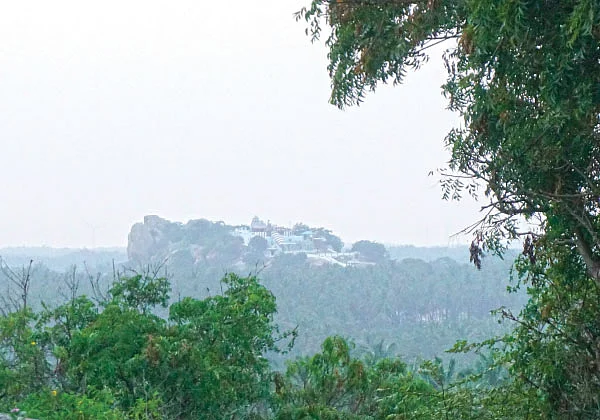 ‘பூ வாக்கு தருவான் வேலவன்!’