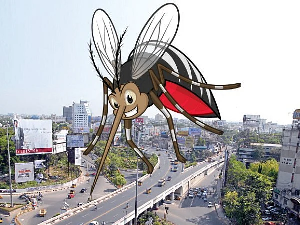 வாசகர்களுக்கு வணக்கம்: மீண்டும் மிரட்டும் டெங்கு! செய்யவேண்டியதென்ன?