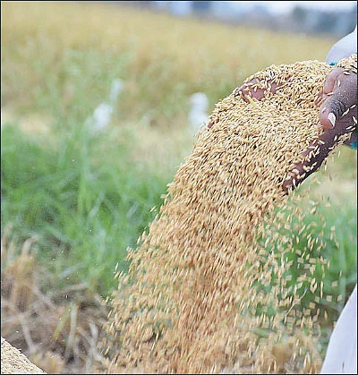 தண்டோரா
