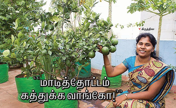 "மாடித்தோட்டம் கத்துக்க வாங்கோ!"