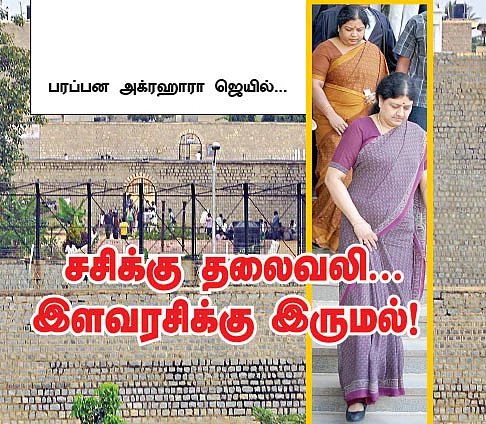 மிஸ்டர் கழுகு: மம்மிக்காக... தாடி!
