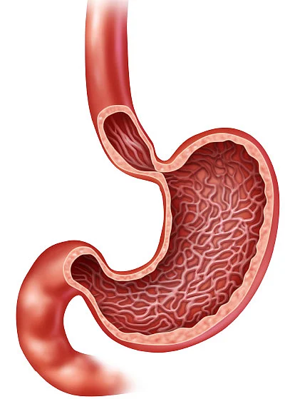 இனி எல்லாம் சுகமே - 12