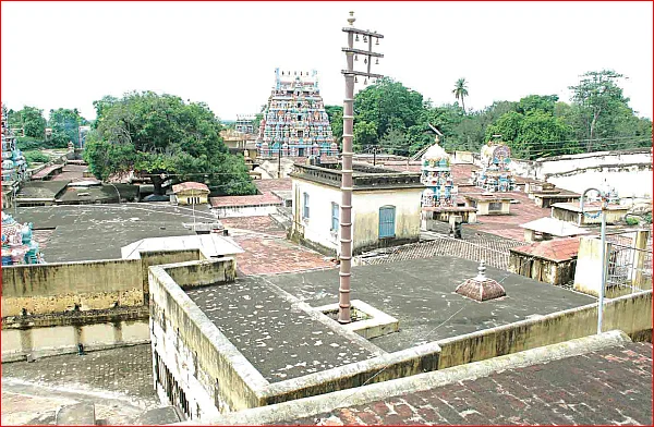 அம்மன் காசு!