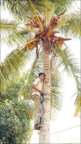 நீங்கள் கேட்டவை