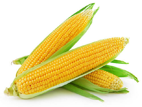 மை டியர் ஜீபா !