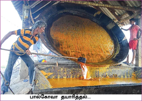 தமிழகம் இன்ஃபோ ஸ்பெஷல் #8 - விருதுநகர் 200 - இன்ஃபோ புக்