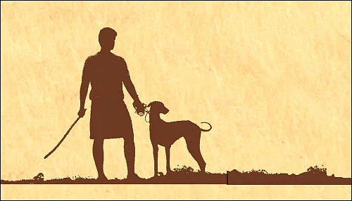 பரியேறும் பெருமாள் - சினிமா விமர்சனம்