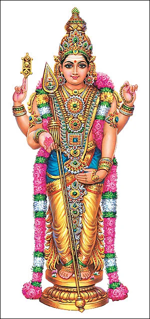மாமருந்தாகும் இலை விபூதி!