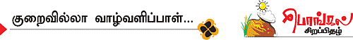 குதிரை... குலுங்க..! குலுங்க..!