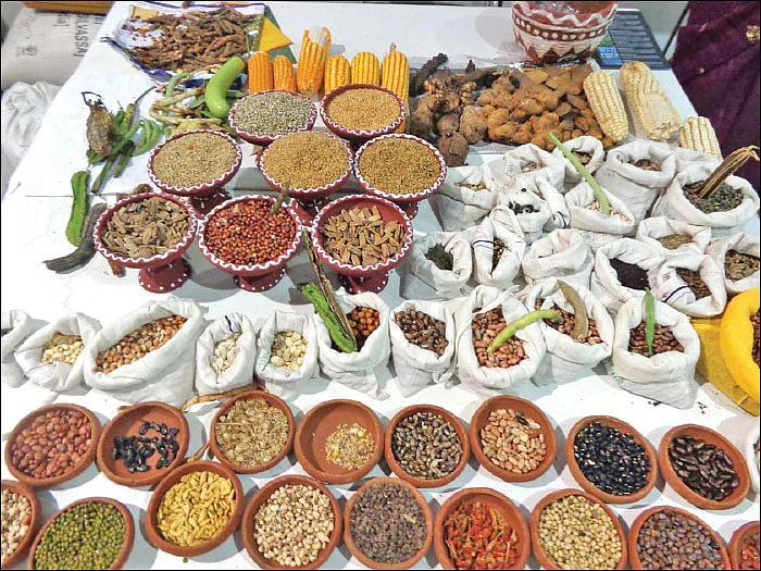இயற்கை விவசாயப் பாதையில் முன்னேறும் மாநிலங்கள்!