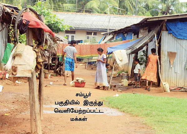 புலித்தடம் தேடி...