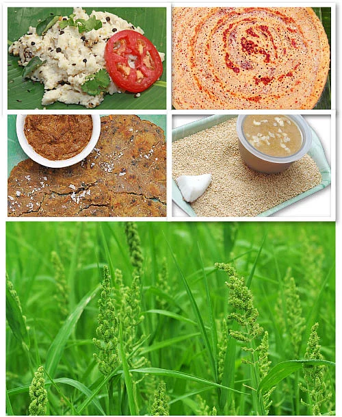 சிறுதானியம் தரும் பெருவாழ்வு!
