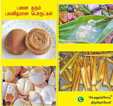 வாட்ஸ்அப் பராக்... பராக்!