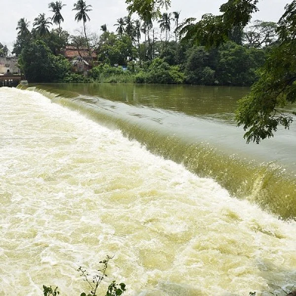 `தமிழகத்துக்கு 30 டி.எம்.சி தண்ணீர் திறக்கவும்’ - கர்நாடகாவுக்கு காவிரி மேலாண்மை ஆணையம் உத்தரவு