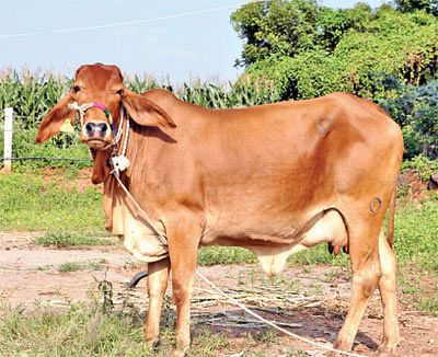 நீங்கள் கேட்டவை