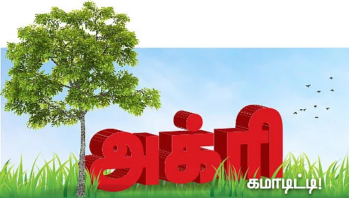 அக்ரி கமாடிட்டி !