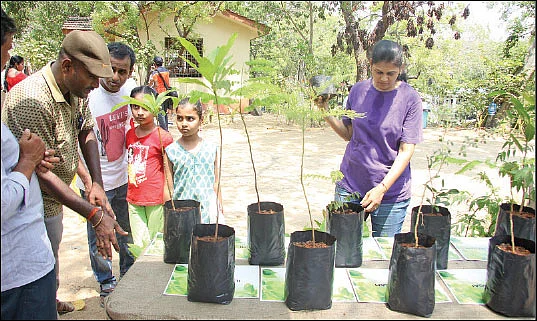 புவி தினம்... சென்னையில் ஓர் இயற்கைக் கூடல்!