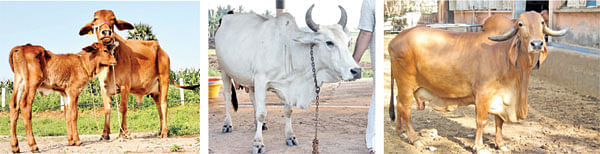 நீங்கள் கேட்டவை